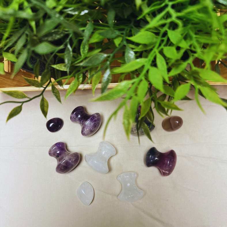 Product kits for CHIA's courses