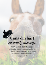 Ladda upp bild till gallerivisning, PR - Scalp &amp; Body Massager (16 st)